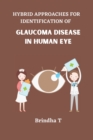 Image for Hybrid Approaches for Identification of Glaucoma Disease in Human Eye