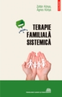 Image for Terapie familiala sistemica (Romanian edition)
