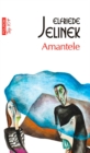 Image for Amantele (Romanian edition)
