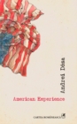 Image for American Experience (Romanian edition)