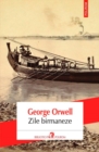Image for Zile birmaneze (Romanian edition)