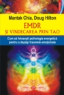 Image for EMDR si vindecarea prin Tao: cum sa folosesti psihologia energetica pentru a depasi traumele emotionale.
