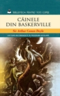 Image for Cainele din Baskerville