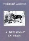 Image for Diplomat In Siam A
