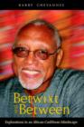 Image for Betwixt and Between : Explorations in an African-Caribbean Mindscape