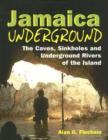 Image for Jamaica Underground