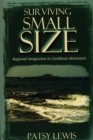 Image for Surviving Small Size States : Regional Integration in Caribbean Ministates