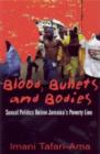 Image for Blood, Bullets and Bodies