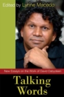 Image for Talking words  : new essays on the work of David Dabydeen