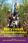 Image for Beyond Homophobia : Centring LGBTQ Experiences in the Anglophone Caribbean