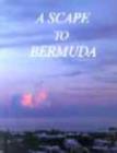Image for A Scape to Bermuda
