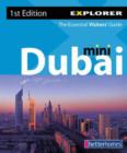 Image for Dubai Mini Explorer