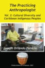 Image for Cultural Diversity and Caribbean Indigenes Peoples