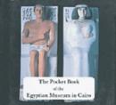 Image for The Pocket Book of Tutankhamun
