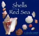 Image for Shells of the Red Sea