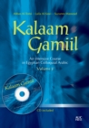 Image for Kalaam Gamiil: an Intensive Course in Egyptian Colloquial Arabic: Volume 2
