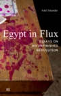 Image for Egypt in Flux
