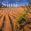 Image for Sinai