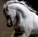 Image for The Arabian Horse of Egypt