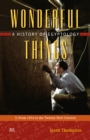 Image for Wonderful things  : a history of Egyptology3,: From 1914 to the twenty-first century