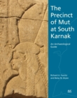 Image for The Precinct of Mut at South Karnak : An Archaeological Guide
