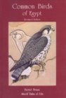 Image for Common Birds of Egypt