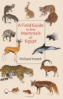 Image for A Field Guide to the Mammals of Egypt