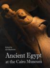Image for Ancient Egypt at the Cairo Museum