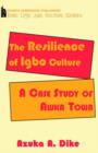 Image for The Resilience of Ibgo Culture : A Case Study of Awka Town