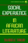 Image for Social Experience in African Literature