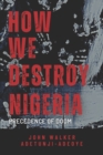 Image for How We Destroy Nigeria