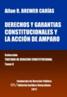 Image for Derechos y garantias constitucionales y la accion de amparo. Tomo X. Coleccion Tratado de Derecho Constitucional