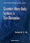 Image for Quantum Many-body Systems In One Dimension