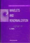 Image for Wavelets And Renormalization