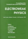 Image for Electroweak Physics - Proceedings Of The Fourteenth Lake Louise Winter Institute