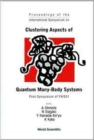 Image for Clustering Aspects Of Quantum Many-body Systems - Proceedings Of The International Symposium On Post-symposium Of Ykis01