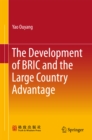 Image for The development of BRIC and the large country advantage
