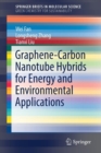 Image for Graphene-Carbon Nanotube Hybrids for Energy and Environmental Applications