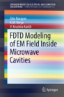 Image for FDTD modeling of EM field inside microwave cavities