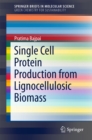 Image for Single Cell Protein Production from Lignocellulosic Biomass.: (SpringerBriefs in Green Chemistry for Sustainability)