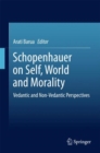Image for Schopenhauer on Self, World and Morality: Vedantic and Non-Vedantic Perspectives