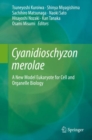 Image for Cyanidioschyzon Merolae: A New Model Eukaryote for Cell and Organelle Biology