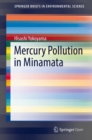 Image for Mercury Pollution in Minamata