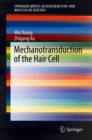 Image for Mechanotransduction of the Hair Cell