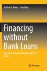 Image for Financing without Bank Loans : New Alternatives for Funding SMEs in China