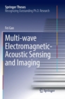 Image for Multi-wave Electromagnetic-Acoustic Sensing and Imaging