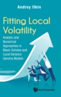 Image for Fitting Local Volatility: Analytic And Numerical Approaches In Black-scholes And Local Variance Gamma Models