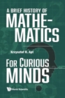 Image for Brief History Of Mathematics For Curious Minds, A