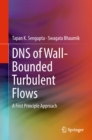 Image for DNS of wall-bounded turbulent flows: a first principle approach