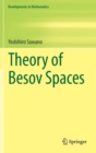 Image for Theory of Besov Spaces